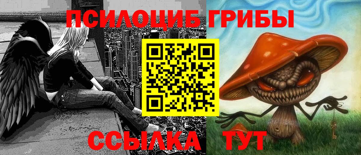 что такое наркотик  Галлюциногенные грибы мухоморы  Новокуйбышевск  Вход с VPN  Псилоцибиновые грибы мицелий 